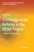 Perspectives on Development in the Middle East and North Africa (MENA) Region