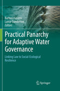 Practical Panarchy for Adaptive Water Governance