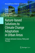 Theory and Practice of Urban Sustainability Transitions