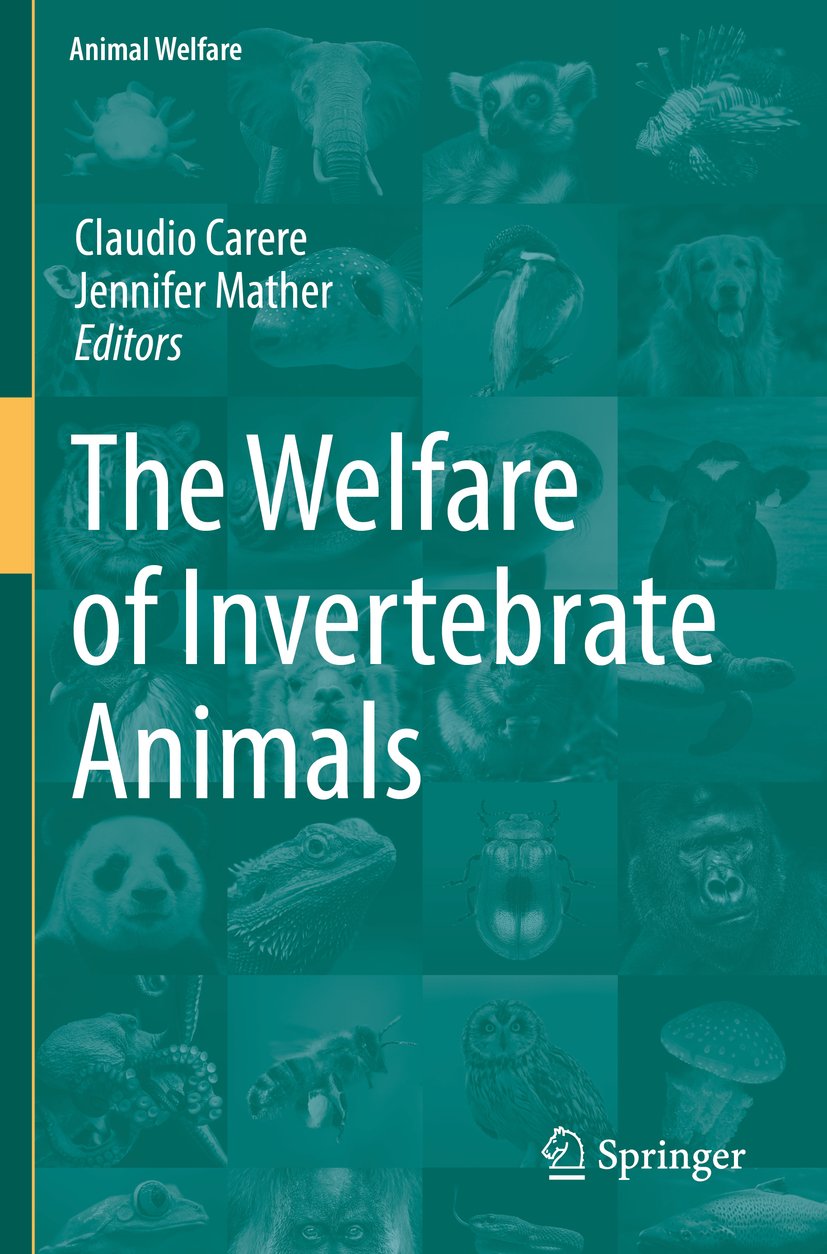 The Welfare of Invertebrate Animals