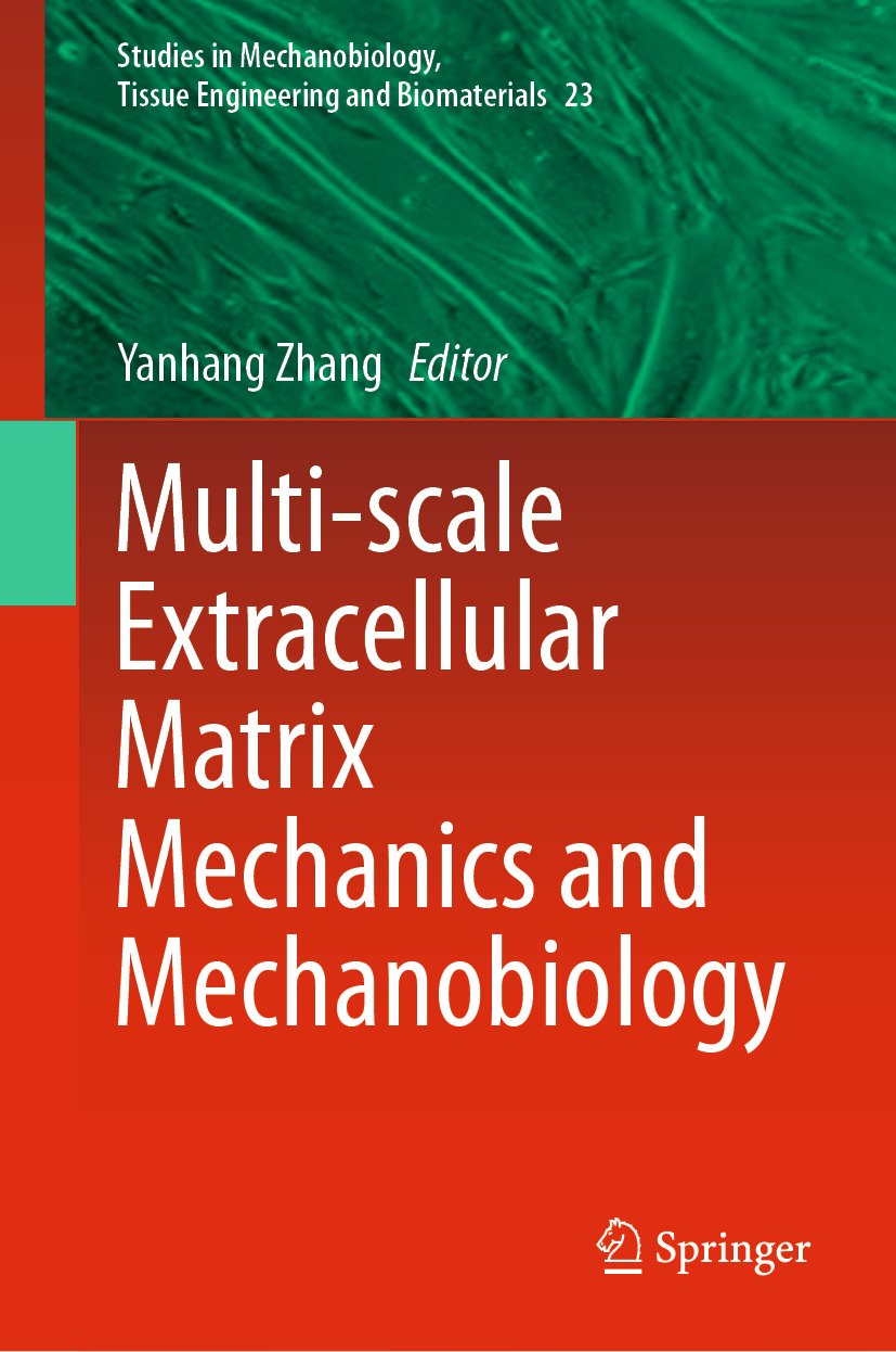 Studies in Mechanobiology, Tissue Engineering and Biomaterials