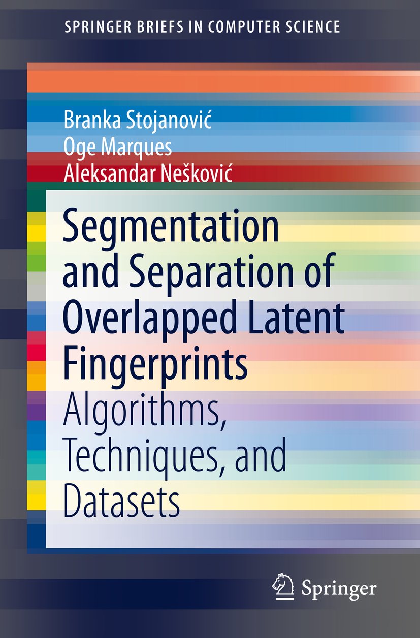 SpringerBriefs in Computer Science