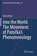 Contributions to Phenomenology