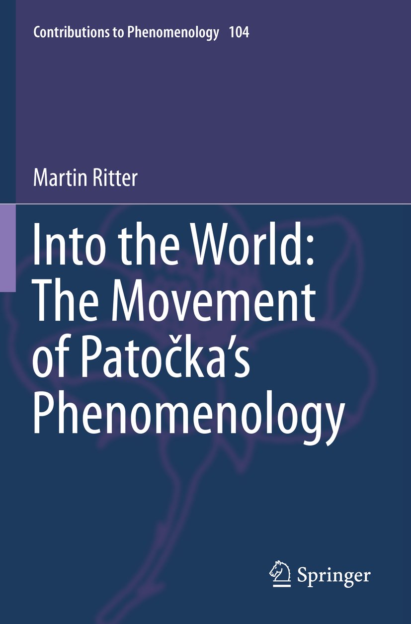 Contributions to Phenomenology