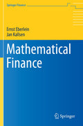 Springer Finance