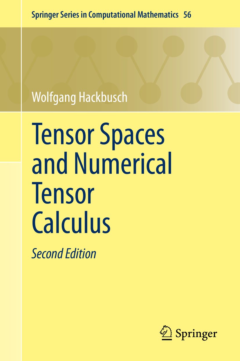 Springer Series in Computational Mathematics
