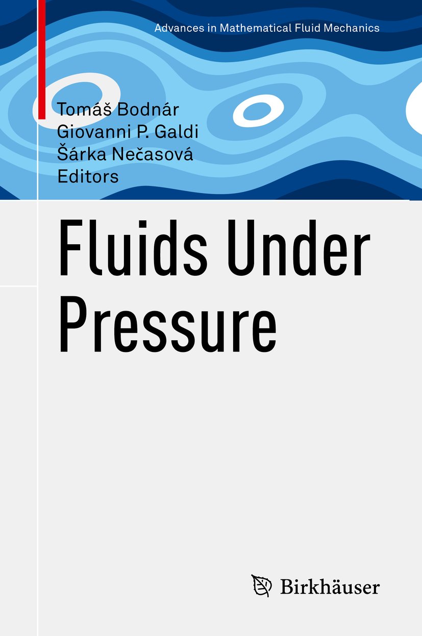 Advances in Mathematical Fluid Mechanics