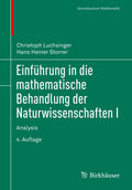 Grundstudium Mathematik: Analysis