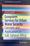 SpringerBriefs in Geography