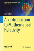 Latin American Mathematics Series