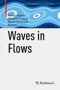 Advances in Mathematical Fluid Mechanics