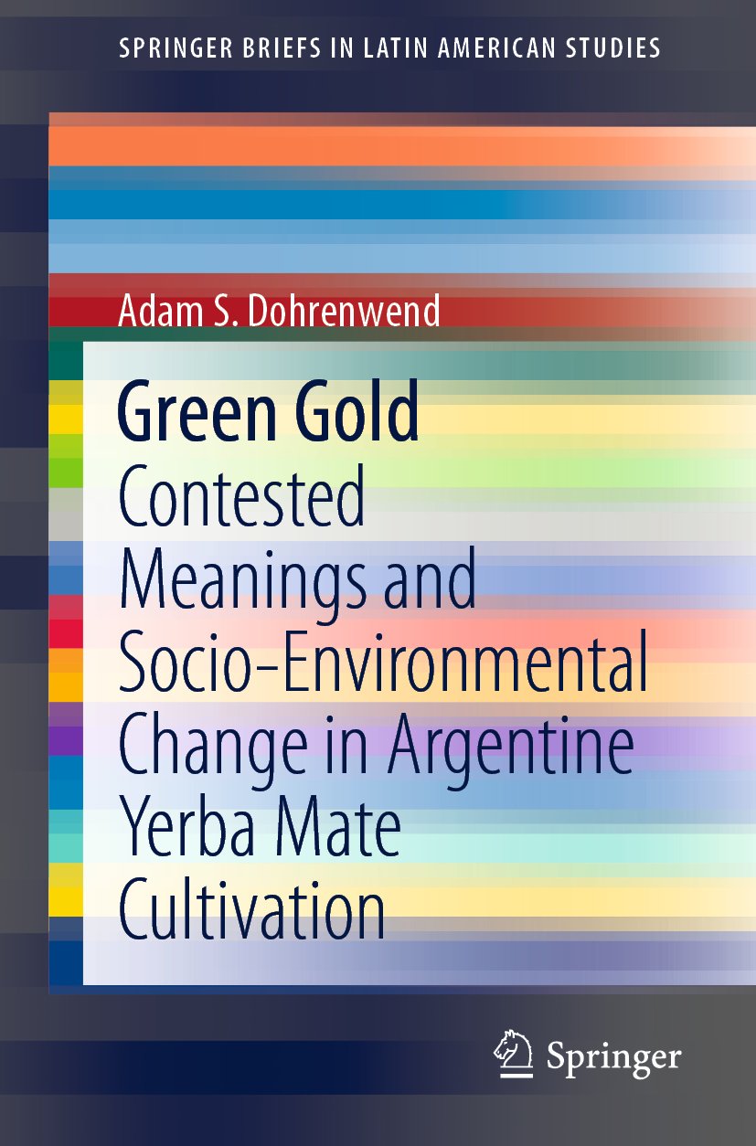 SpringerBriefs in Latin American Studies