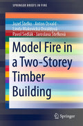 SpringerBriefs in Fire