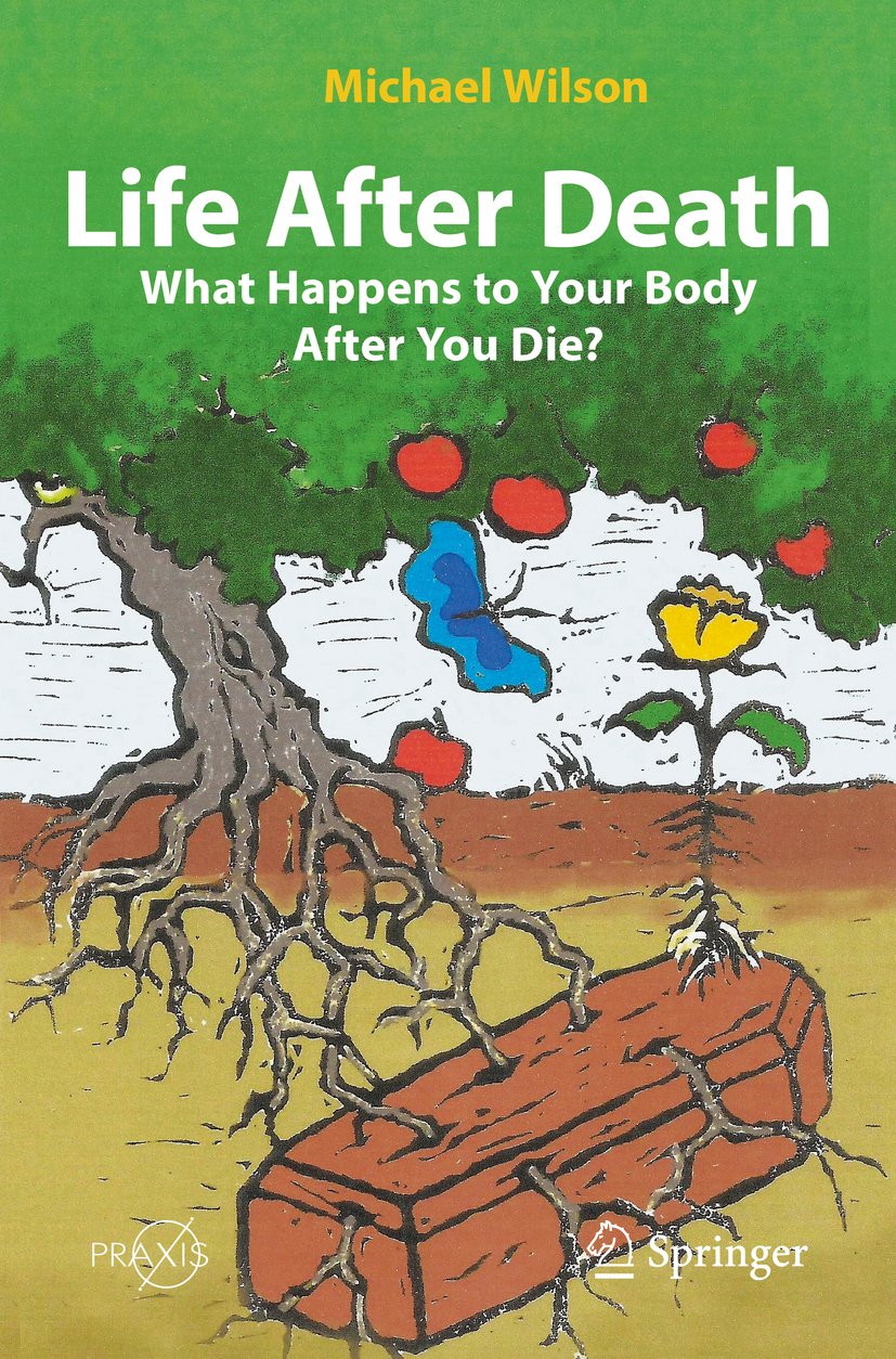 Springer Praxis Books