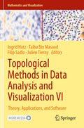 Mathematics and Visualization