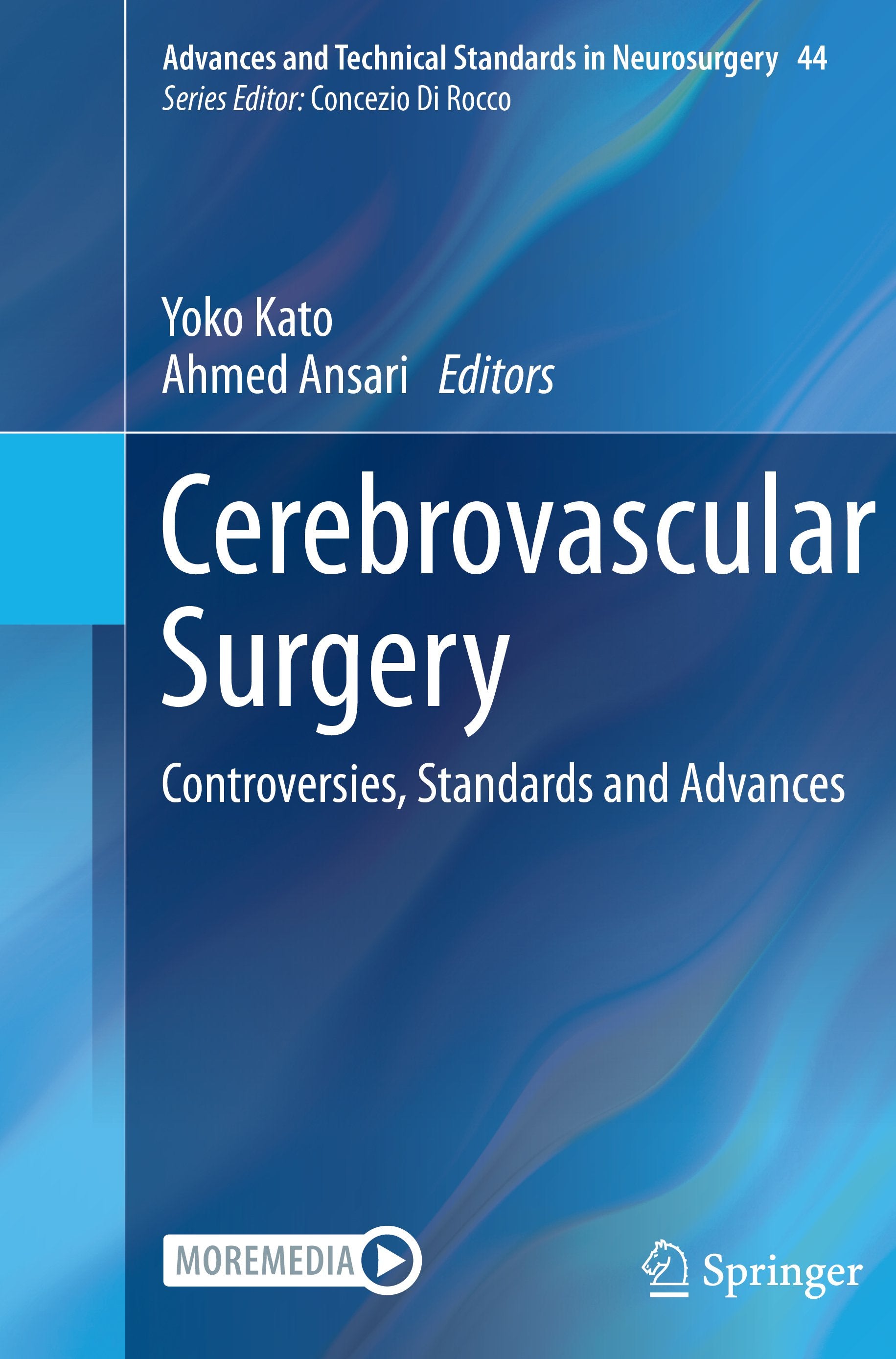 Advances and Technical Standards in Neurosurgery