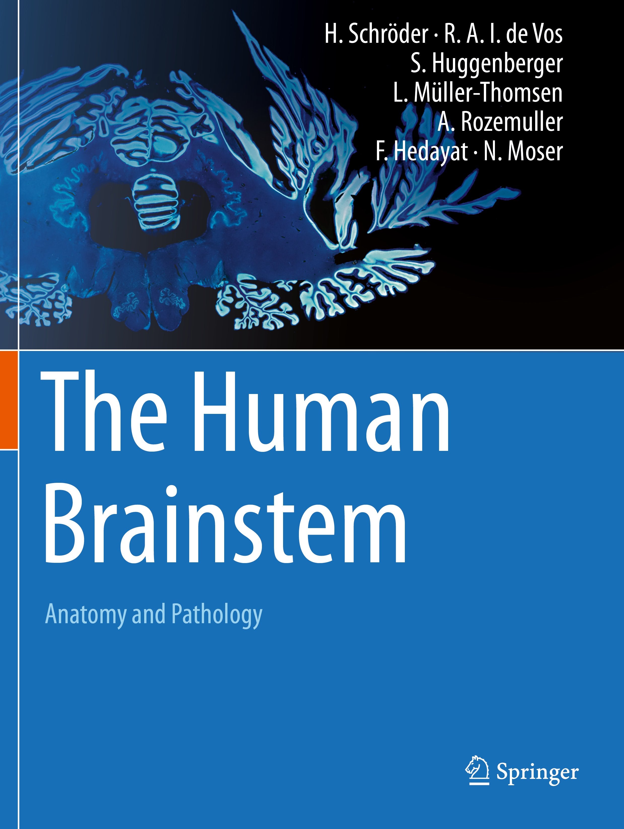 The Human Brainstem