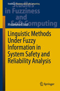 Studies in Fuzziness and Soft Computing
