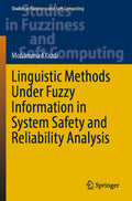Studies in Fuzziness and Soft Computing