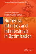Emergence, Complexity and Computation