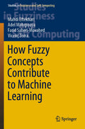 Studies in Fuzziness and Soft Computing