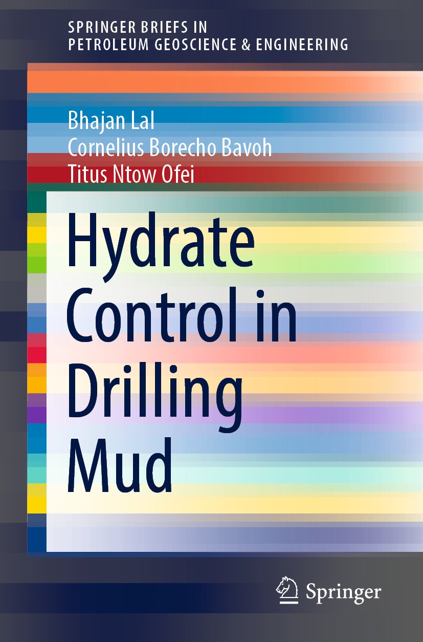 SpringerBriefs in Petroleum Geoscience & Engineering