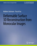 Synthesis Lectures on Computer Vision