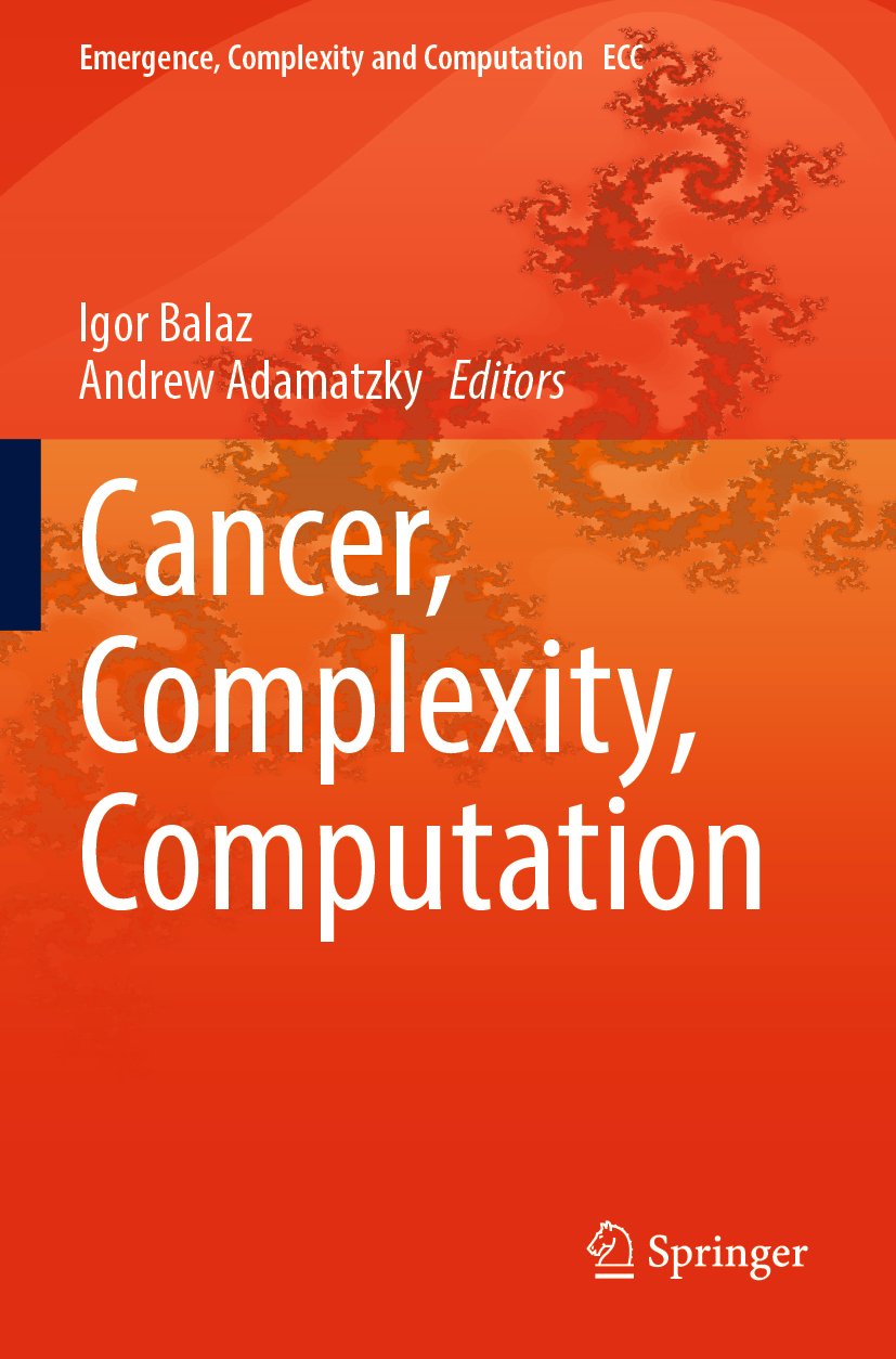 Emergence, Complexity and Computation