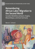 Palgrave Macmillan Transnational History Series
