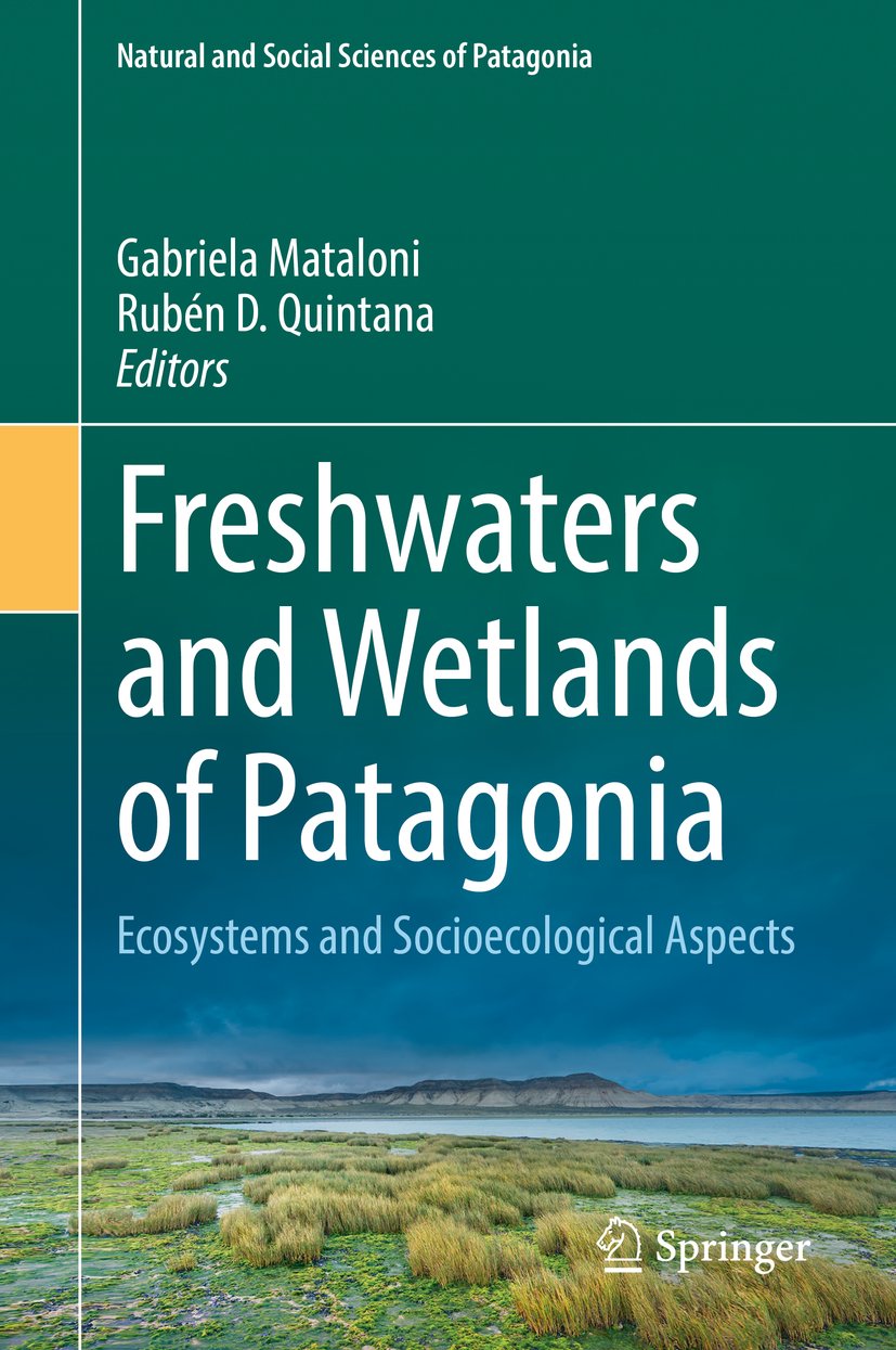 Freshwaters and Wetlands of Patagonia