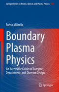 Springer Series on Atomic, Optical, and Plasma Physics