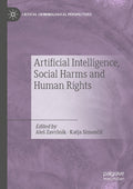 Critical Criminological Perspectives