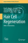 Hair Cell Regeneration