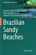 Brazilian Sandy Beaches