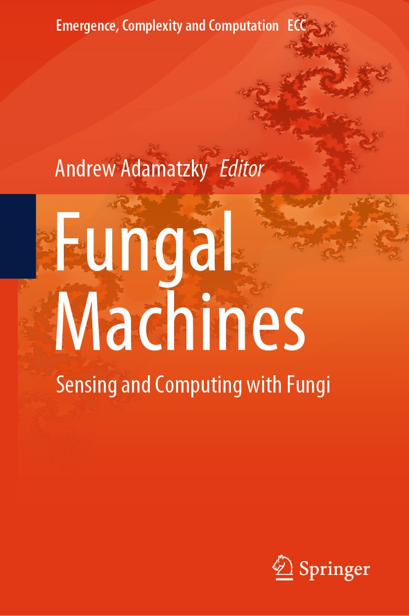 Emergence, Complexity and Computation