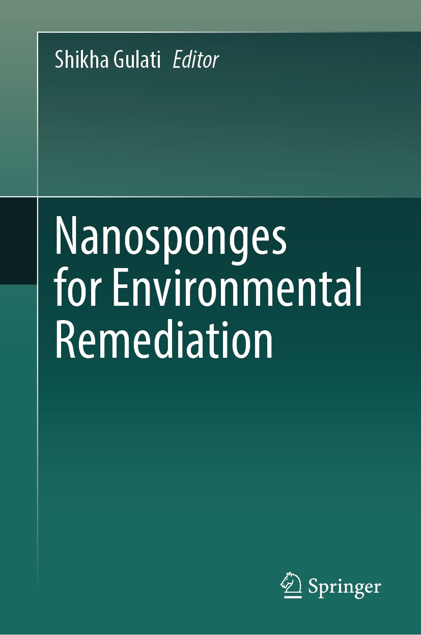 Nanosponges for Environmental Remediation