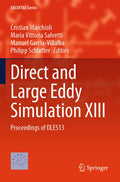 Direct and Large Eddy Simulation XIII