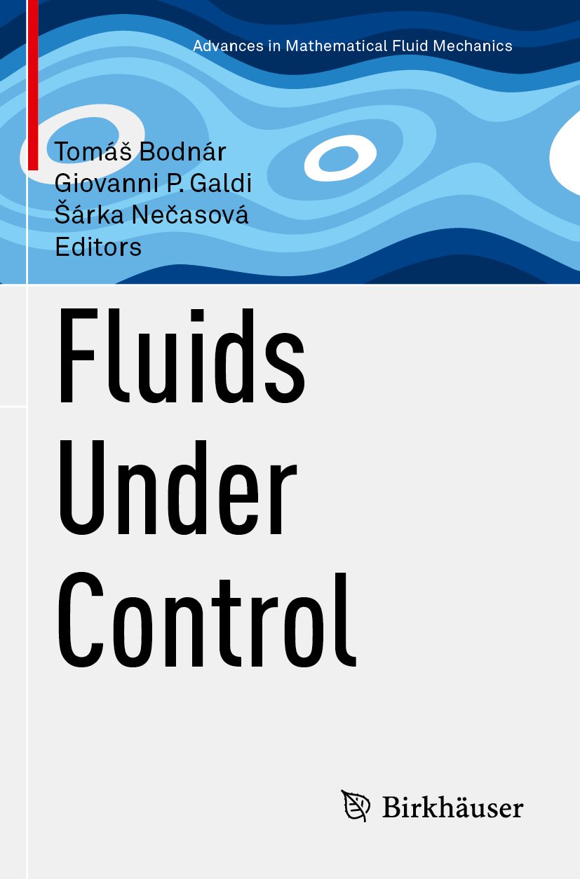 Advances in Mathematical Fluid Mechanics