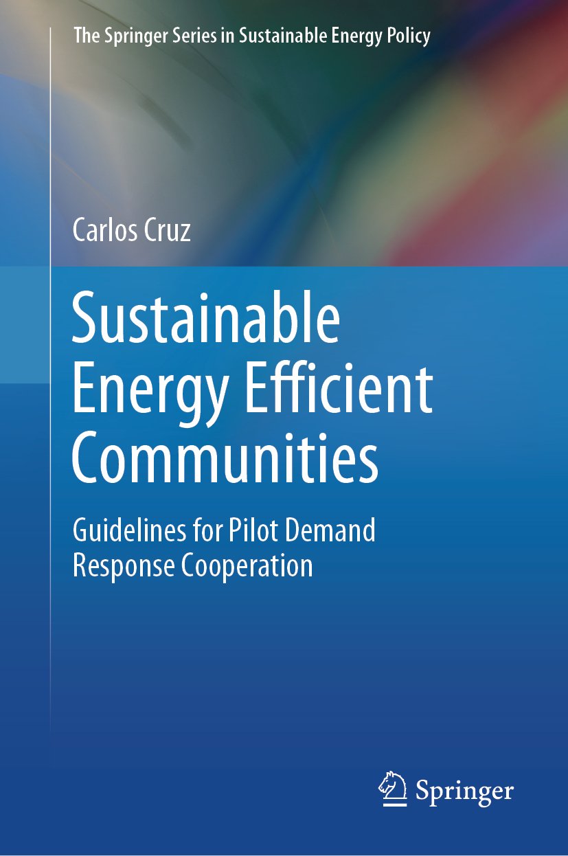 The Springer Series in Sustainable Energy Policy