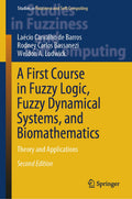 Studies in Fuzziness and Soft Computing