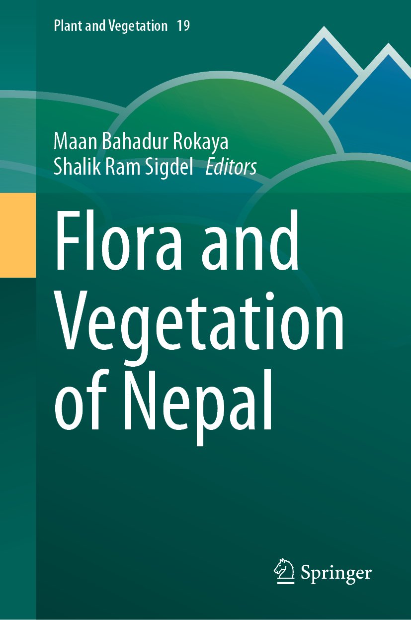 Plant and Vegetation