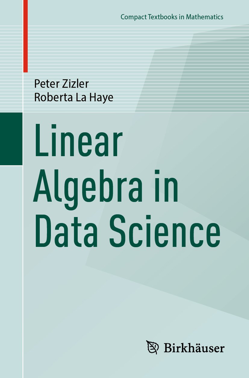 Compact Textbooks in Mathematics