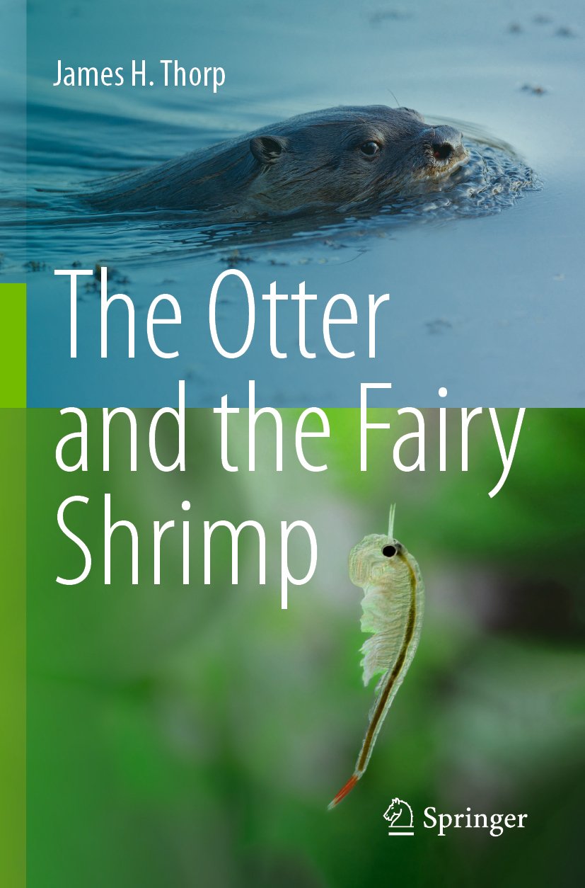 The Otter and the Fairy Shrimp