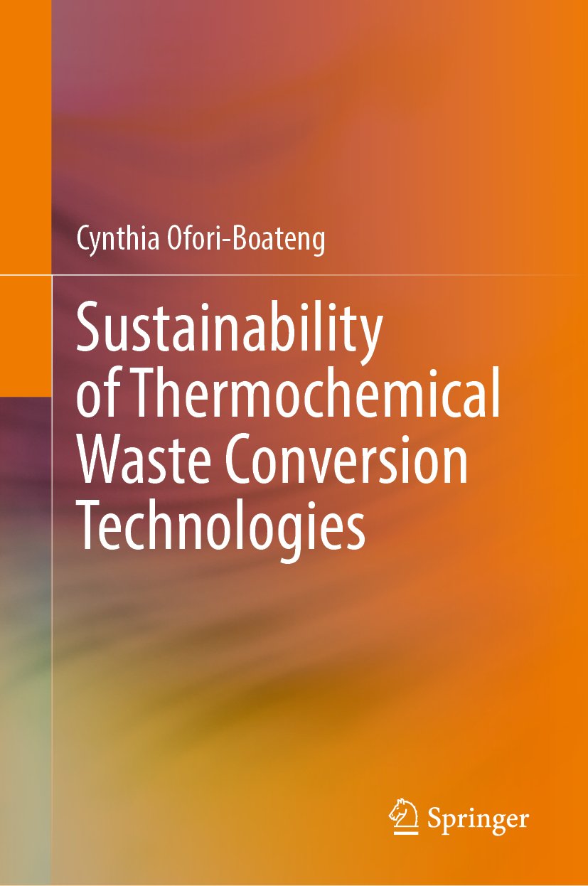 Sustainability of Thermochemical Waste Conversion Technologies