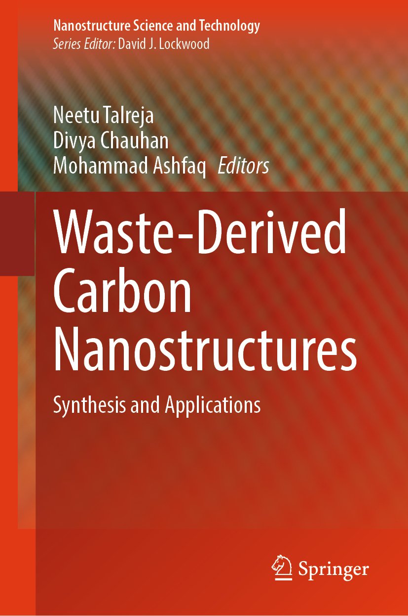 Nanostructure Science and Technology