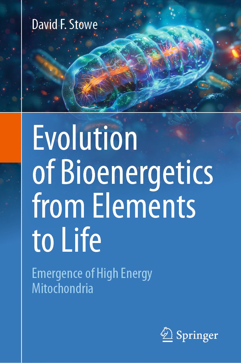Evolution of Bioenergetics from Elements to Life