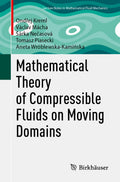 Advances in Mathematical Fluid Mechanics