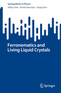 SpringerBriefs in Physics