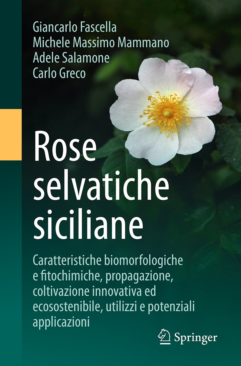 Rose selvatiche siciliane