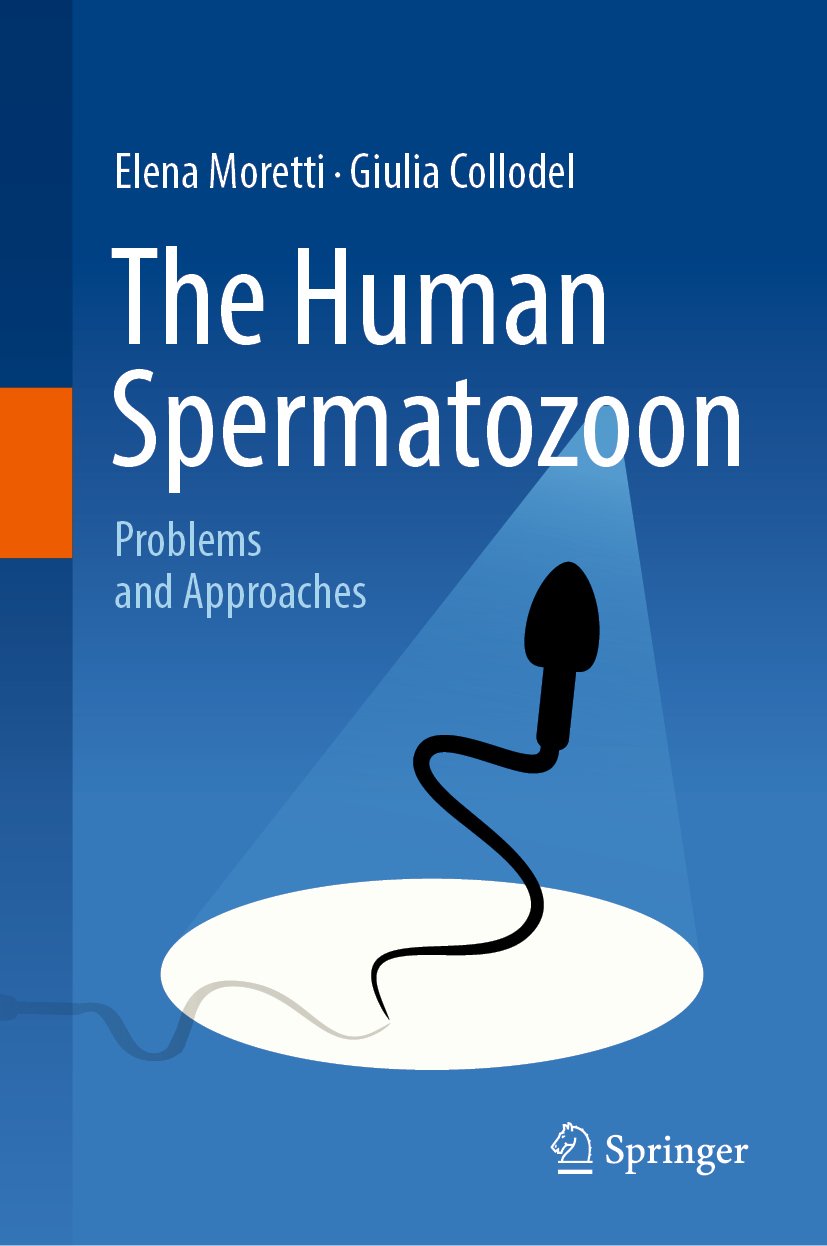 The Human Spermatozoon